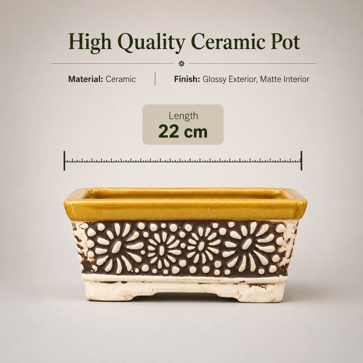 Carved Ceramic Bonsai Pot | 22 cm Decorative Planter