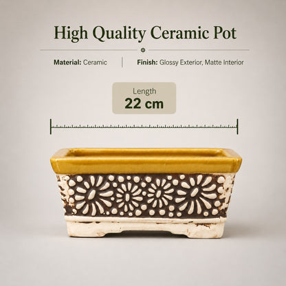 Carved Ceramic Bonsai Pot | 22 cm Decorative Planter