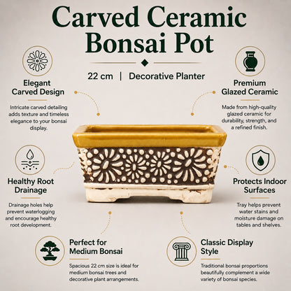 Carved Ceramic Bonsai Pot | 22 cm Decorative Planter