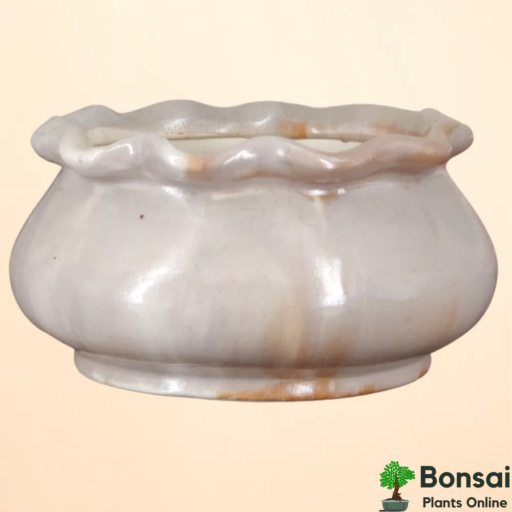 Ceramic Bonsai Pot | 14 cm / 5.5 Inch Indoor Plant Pot