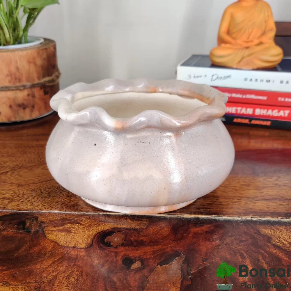 Ceramic Bonsai Pot | 14 cm / 5.5 Inch Indoor Plant Pot