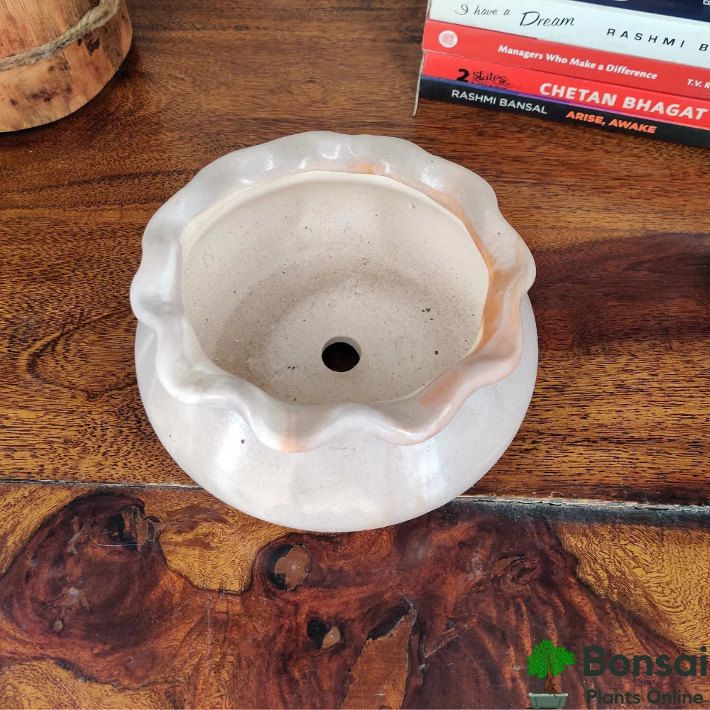 Ceramic Bonsai Pot | 14 cm / 5.5 Inch Indoor Plant Pot