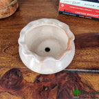 Ceramic Bonsai Pot | 14 cm / 5.5 Inch Indoor Plant Pot