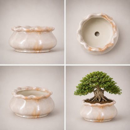 Ceramic Bonsai Pot | 14 cm / 5.5 Inch Indoor Plant Pot