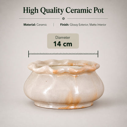 Ceramic Bonsai Pot | 14 cm / 5.5 Inch Indoor Plant Pot