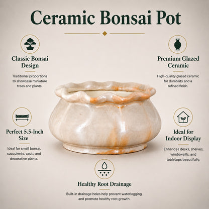Ceramic Bonsai Pot | 14 cm / 5.5 Inch Indoor Plant Pot