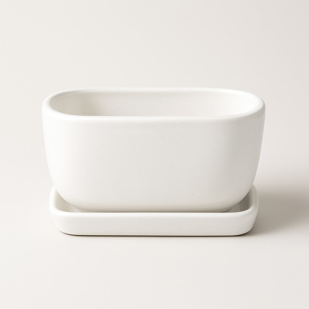 White Ceramic Bonsai Tray Pot | 17 cm Indoor Plant Pot