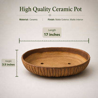 Ceramics Bonsai Planter Large Bonsai Planter 43cm / 17 Inches