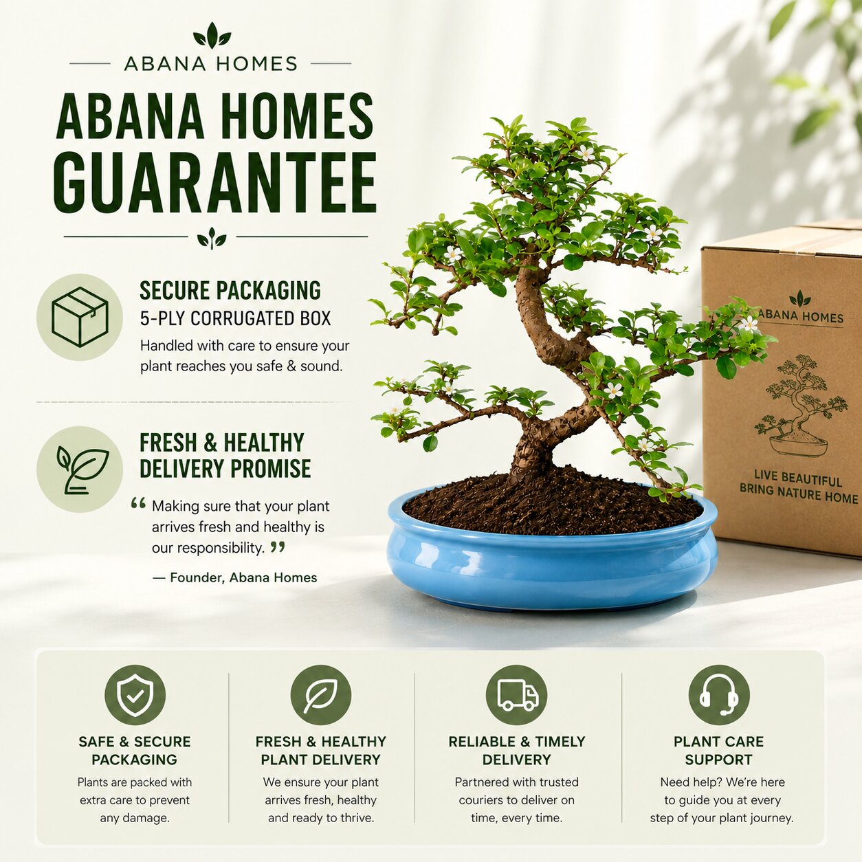 Carmona Flowering Bonsai 9-10 Years – Big Blue Oval Pot