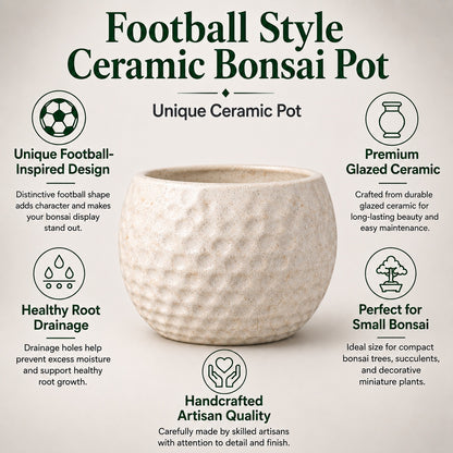 Football Style Ceramic Bonsai Pot | 15 cm / 6 Inch Unique Planter