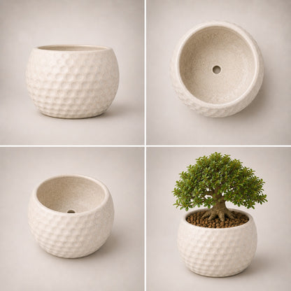 Football Style Ceramic Bonsai Pot | 15 cm / 6 Inch Unique Planter