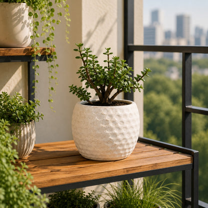 Football Style Ceramic Bonsai Pot | 15 cm / 6 Inch Unique Planter