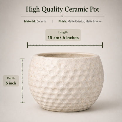 Football Style Ceramic Bonsai Pot | 15 cm / 6 Inch Unique Planter