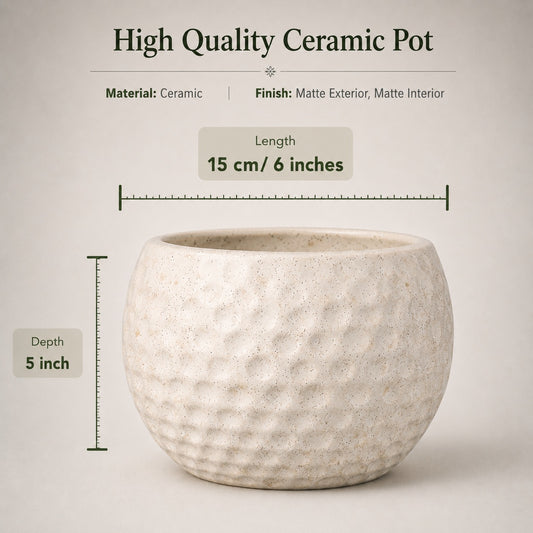 Football Style Ceramic Bonsai Pot | 15 cm / 6 Inch Unique Planter