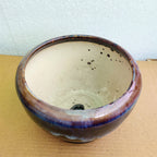 Imported Ceramic Bonsai Planter with Matching Tray | Medium Size