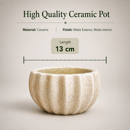 Kamrak Ceramic Bonsai Pot 13 cm 5 inches