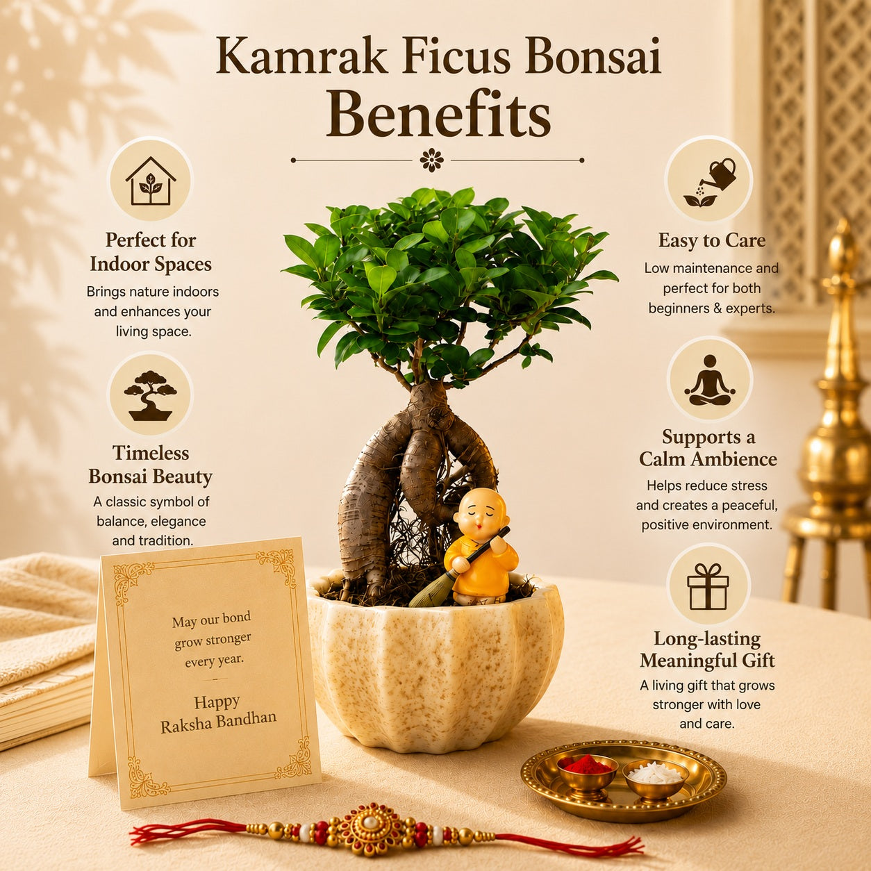Kamrak Ficus Bonsai Rakhi Hamper