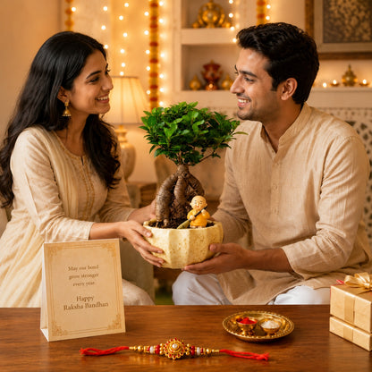 Kamrak Ficus Bonsai Rakhi Hamper