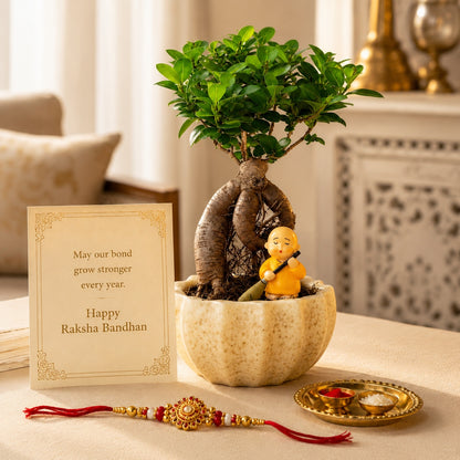 Kamrak Ficus Bonsai Rakhi Hamper