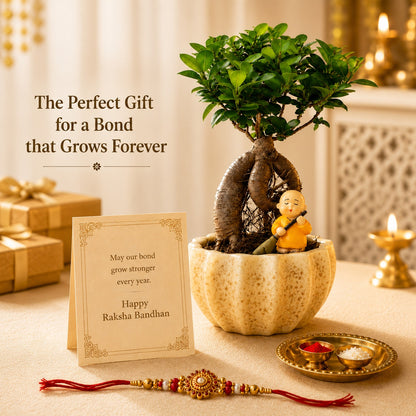 Kamrak Ficus Bonsai Rakhi Hamper