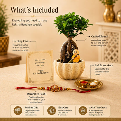 Kamrak Ficus Bonsai Rakhi Hamper