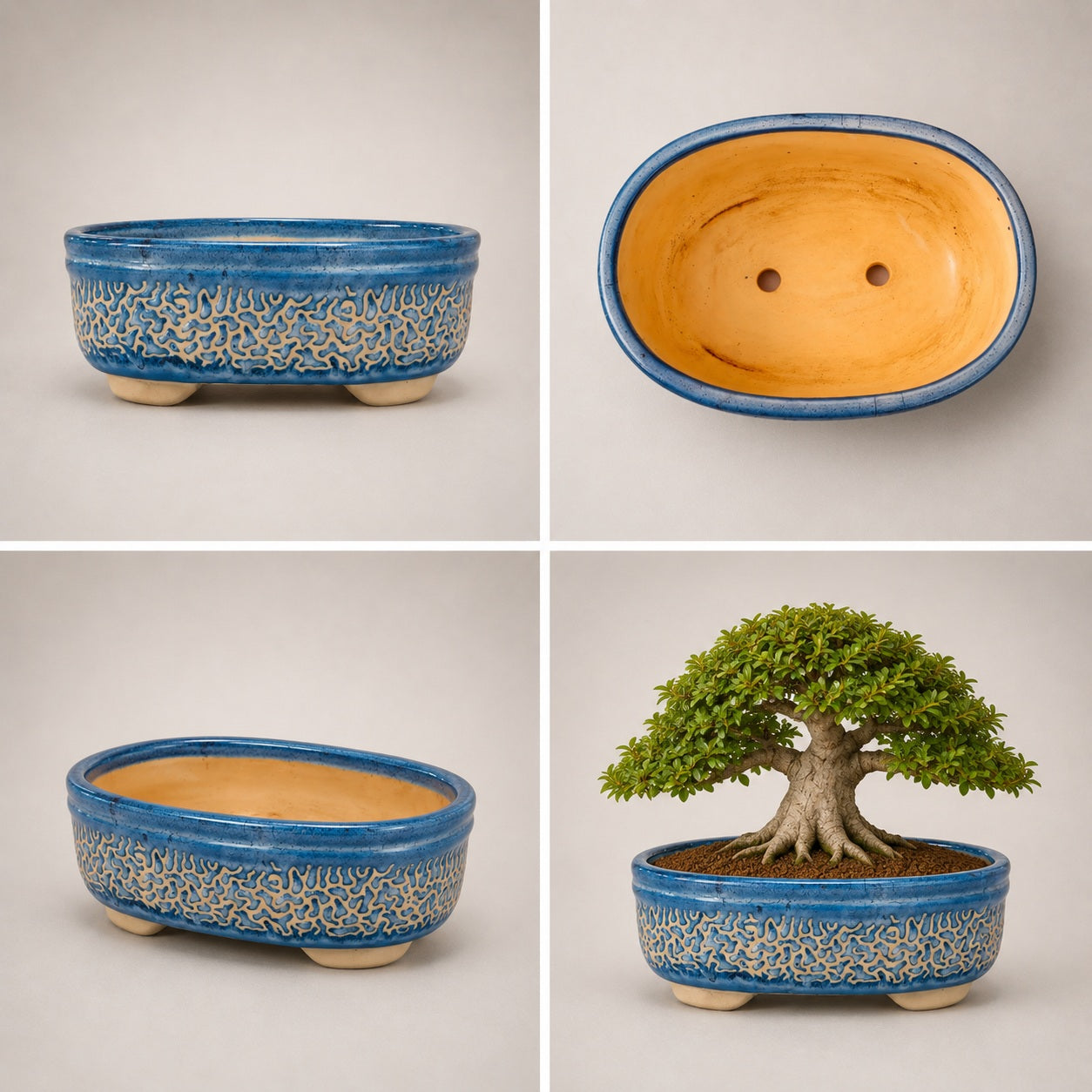 Large Blue Carved Oval Bonsai Pot | 27 cm Ceramic Planter