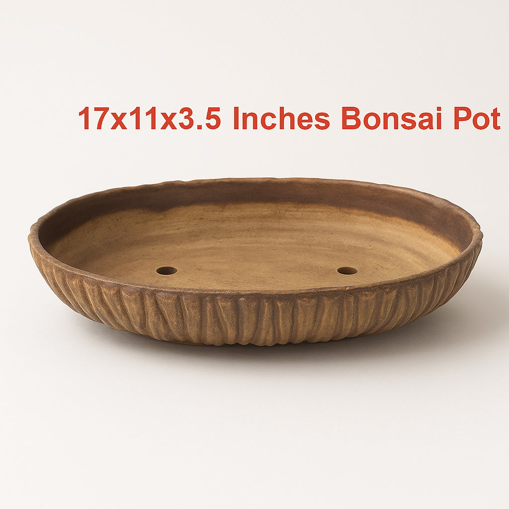 Ceramics Bonsai Planter Large Bonsai Planter 43cm / 17 Inches