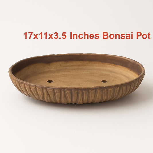 Ceramics Bonsai Planter Large Bonsai Planter 43cm / 17 Inches