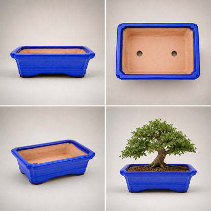 Large Rectangular Sky Blue Bonsai Pot | 27 cm / 11 Inch Ceramic Planter