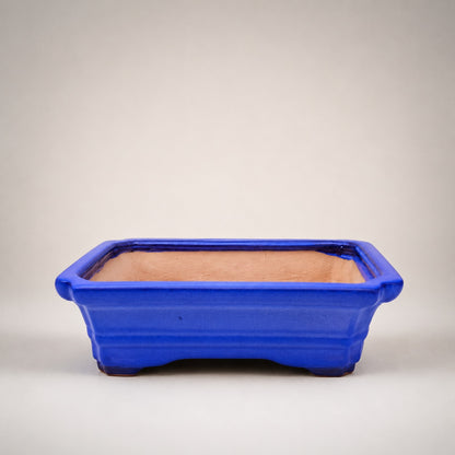 Large Rectangular Sky Blue Bonsai Pot | 27 cm / 11 Inch Ceramic Planter
