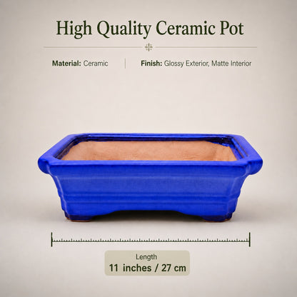 Large Rectangular Sky Blue Bonsai Pot | 27 cm / 11 Inch Ceramic Planter