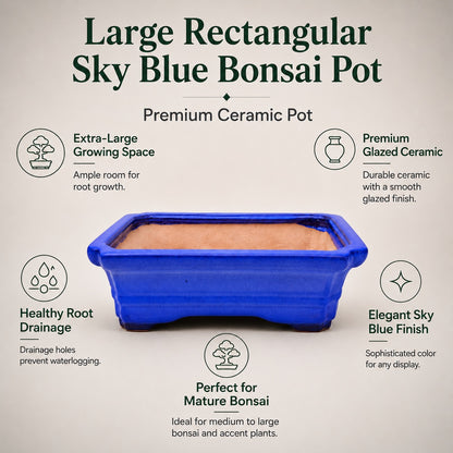 Large Rectangular Sky Blue Bonsai Pot | 27 cm / 11 Inch Ceramic Planter