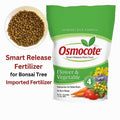 Osmocote Fertilizer India | Slow Release Imported Plant Food for Bonsai & Trees
