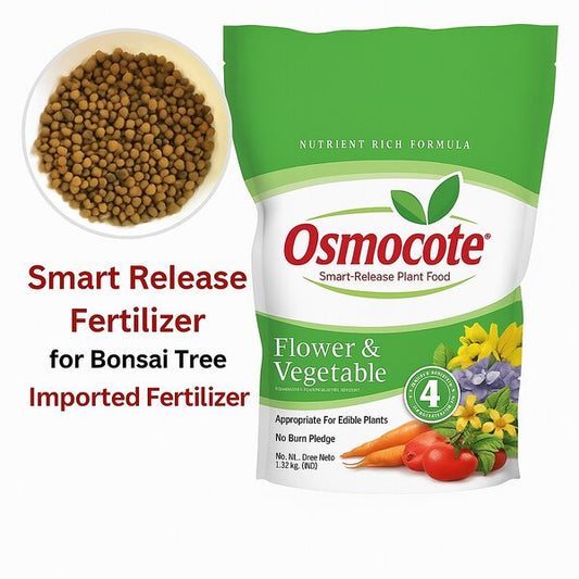 Osmocote Fertilizer India | Slow Release Imported Plant Food for Bonsai & Trees