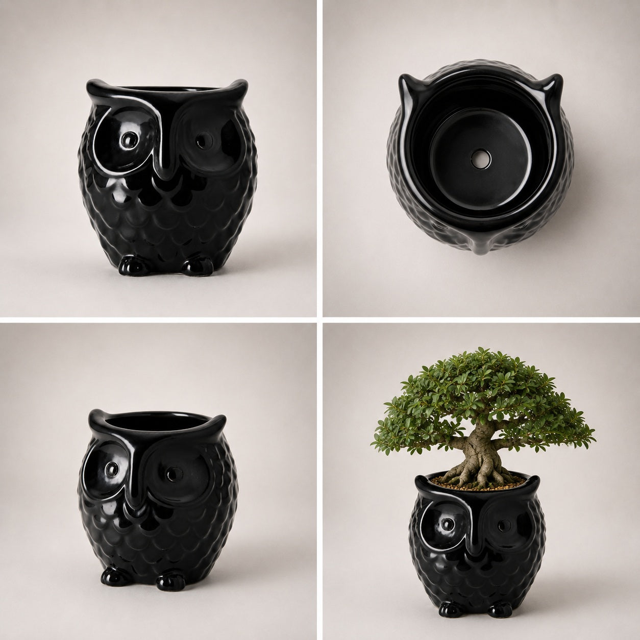 Owl-Shaped Ceramic Bonsai Pot | 9 cm / 3.5 Inch Decorative Planter