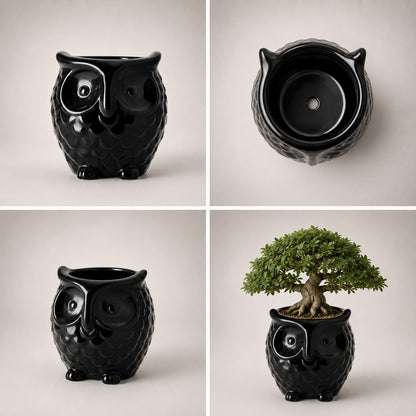 Owl-Shaped Ceramic Bonsai Pot | 9 cm / 3.5 Inch Decorative Planter
