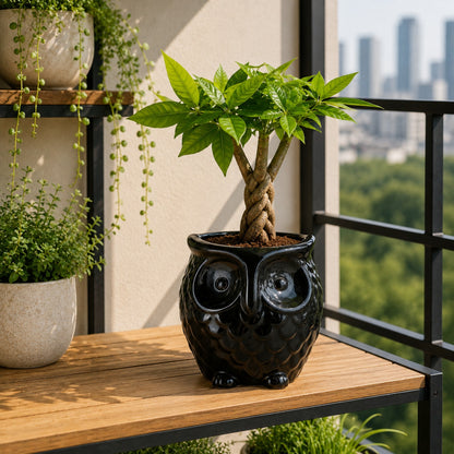 Owl-Shaped Ceramic Bonsai Pot | 9 cm / 3.5 Inch Decorative Planter