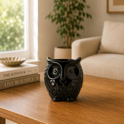 Owl-Shaped Ceramic Bonsai Pot | 9 cm / 3.5 Inch Decorative Planter