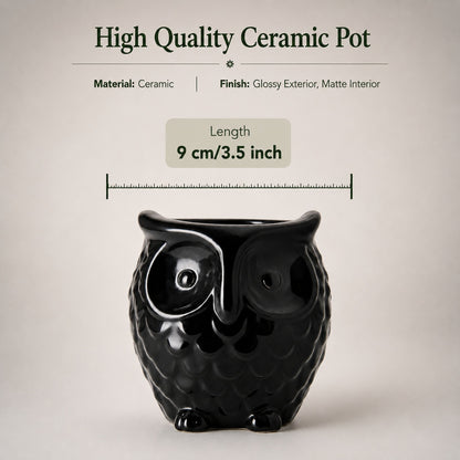 Owl-Shaped Ceramic Bonsai Pot | 9 cm / 3.5 Inch Decorative Planter