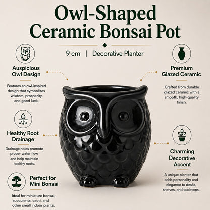 Owl-Shaped Ceramic Bonsai Pot | 9 cm / 3.5 Inch Decorative Planter