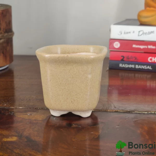 Square Ceramic Bonsai Pot | Medium Size Planter