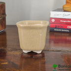 Square Ceramic Bonsai Pot | Medium Size Planter