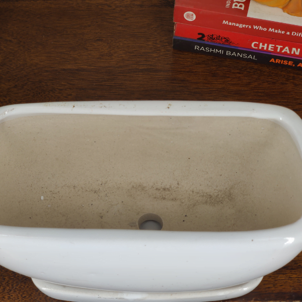 Ceramic Bonsai Pot with Tray 8 Inches 20 Cm