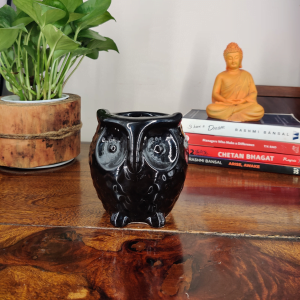 Owl-Shaped Ceramic Bonsai Pot | 9 cm / 3.5 Inch Decorative Planter
