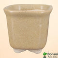 Square Ceramic Bonsai Pot | Medium Size Planter