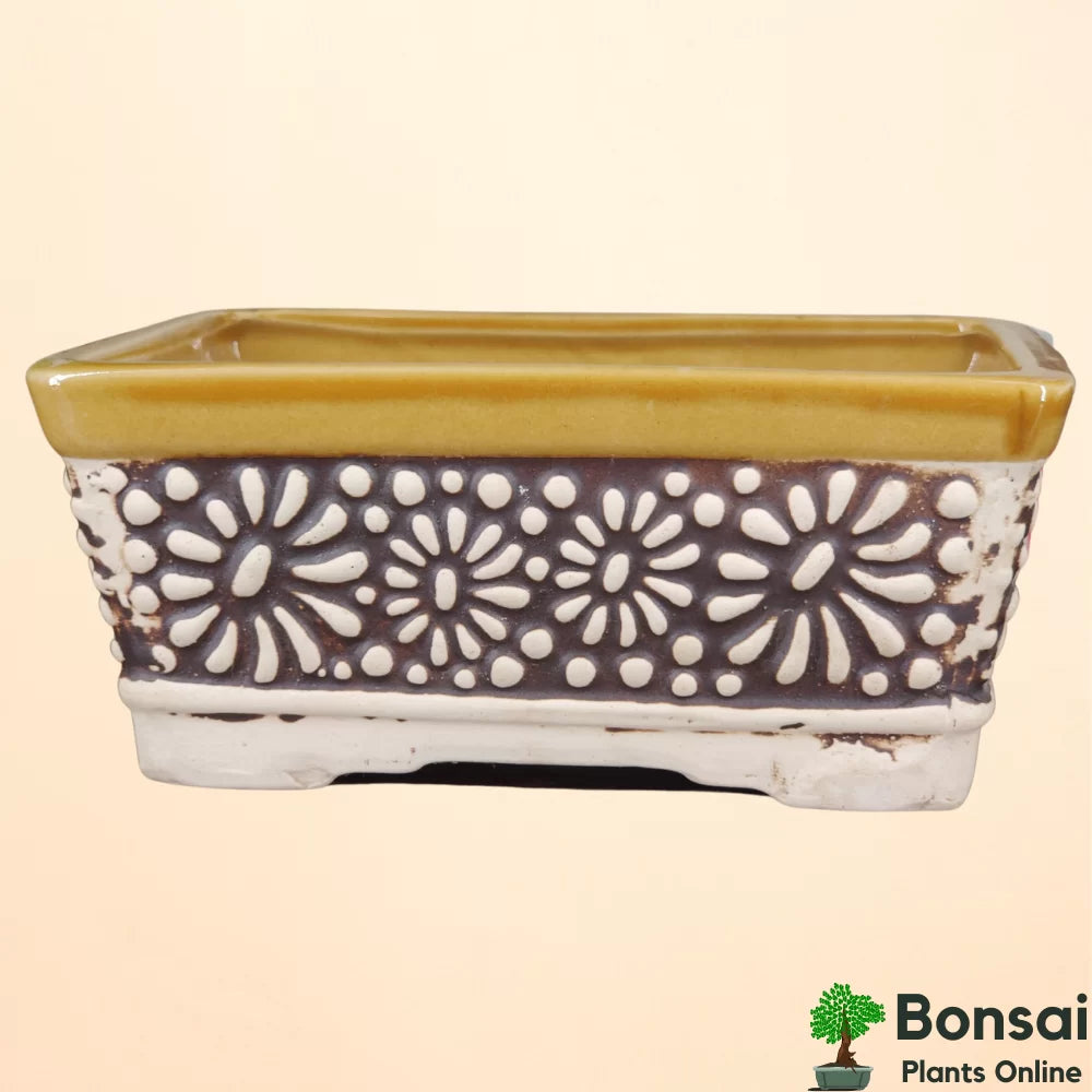 Ceramic Bonsai Pot 15 cm / 6 Inches