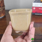 Square Ceramic Bonsai Pot | Medium Size Planter