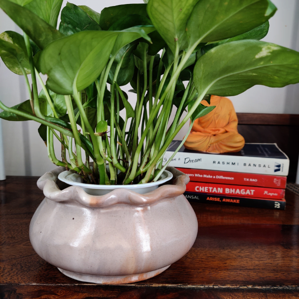 Round Base Ceramic Bonsai Pot | 14 cm / 5.5 Inch