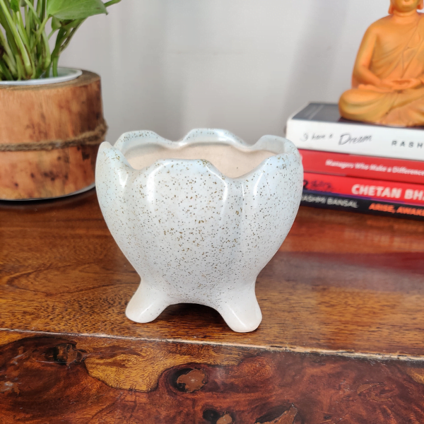 Dia-Style Small Ceramic Bonsai Pot | 9 cm / 3.5 Inch