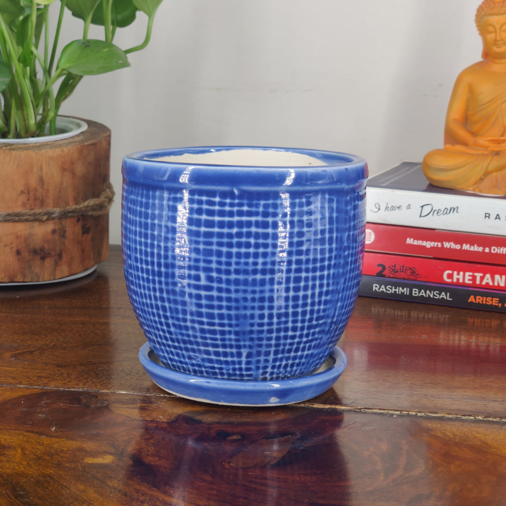 Round Ceramic Pot with Tray | 4 Inch Small Planter